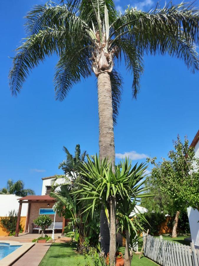 Chalet La Huerta Con Piscina Y Wifi โกนิล เด ลาฟรอนเตรา ภายนอก รูปภาพ